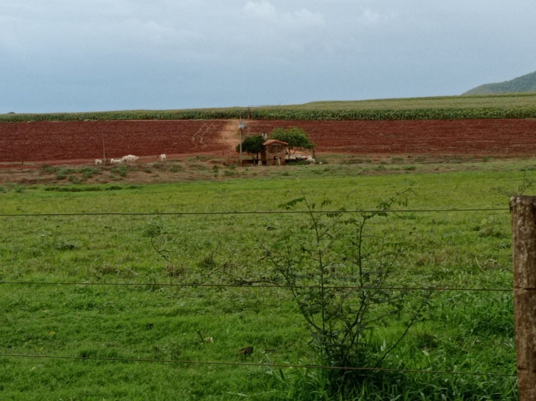 Chácara, 1 quarto, 1000 hectares - Foto 7