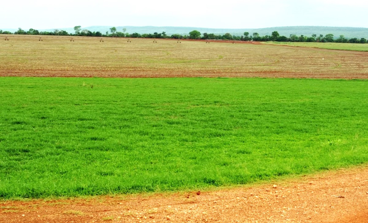 Chácara, 1 quarto, 1000 hectares - Foto 6