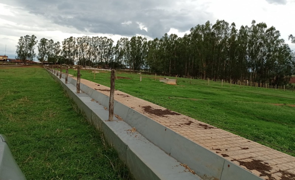 Chácara, 1 quarto, 1000 hectares - Foto 10