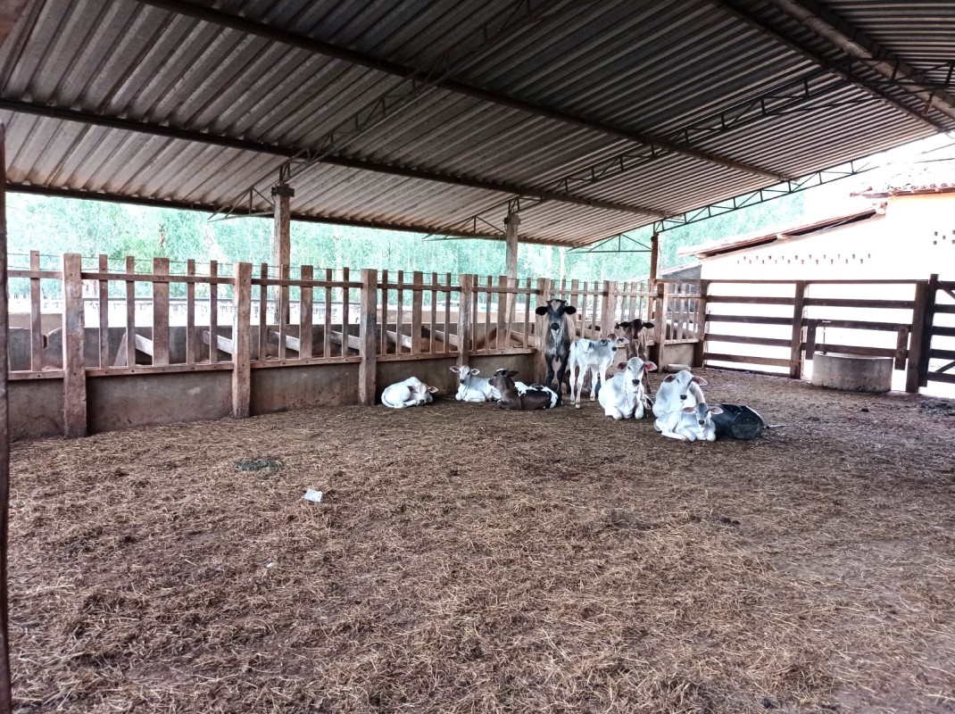 Chácara, 1 quarto, 1000 hectares - Foto 19