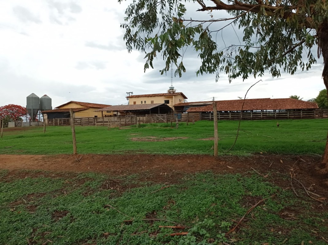 Fazenda, 1000 hectares - Foto 2