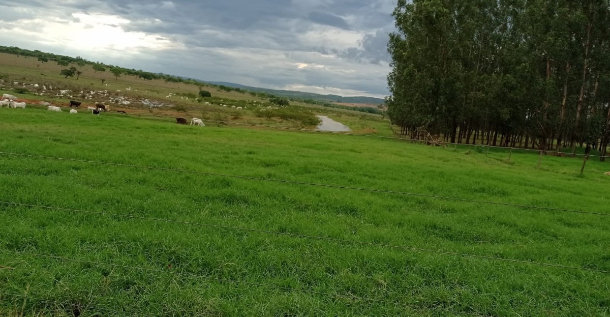 Chácara, 1 quarto, 1000 hectares - Foto 8