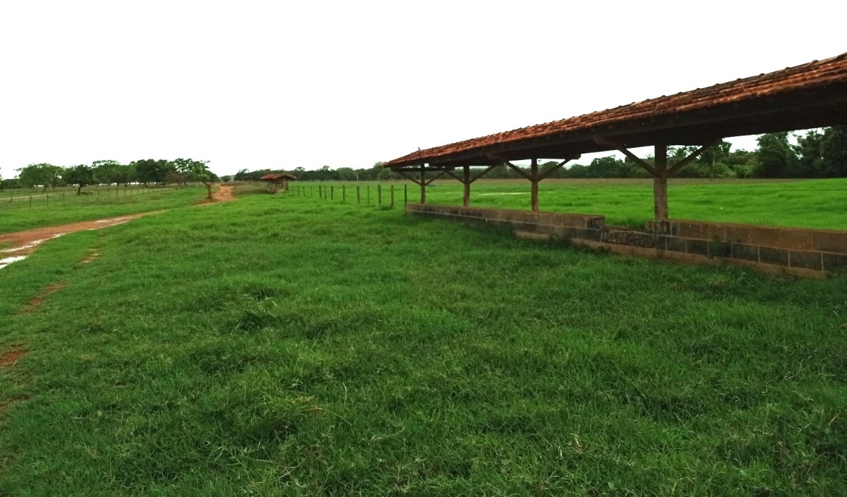 Fazenda, 1000 hectares - Foto 1