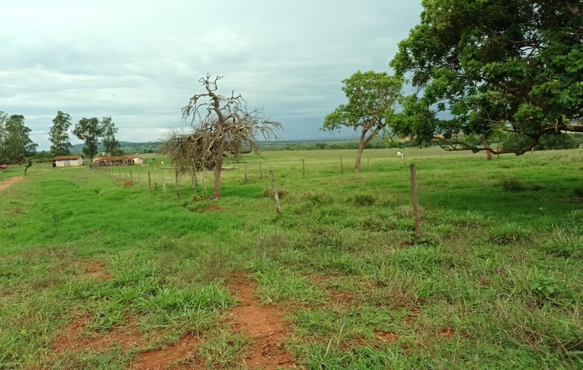 Fazenda, 1000 hectares - Foto 4