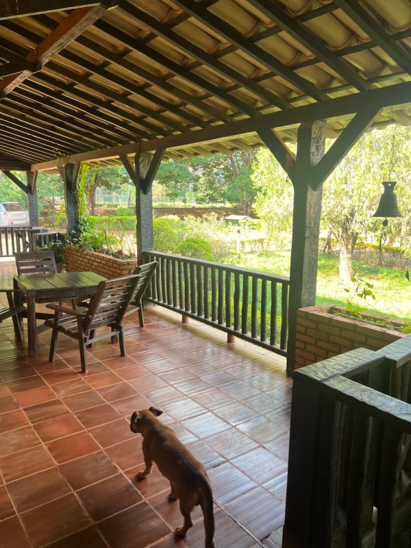 Chácara, 1 quarto, 528 hectares - Foto 6
