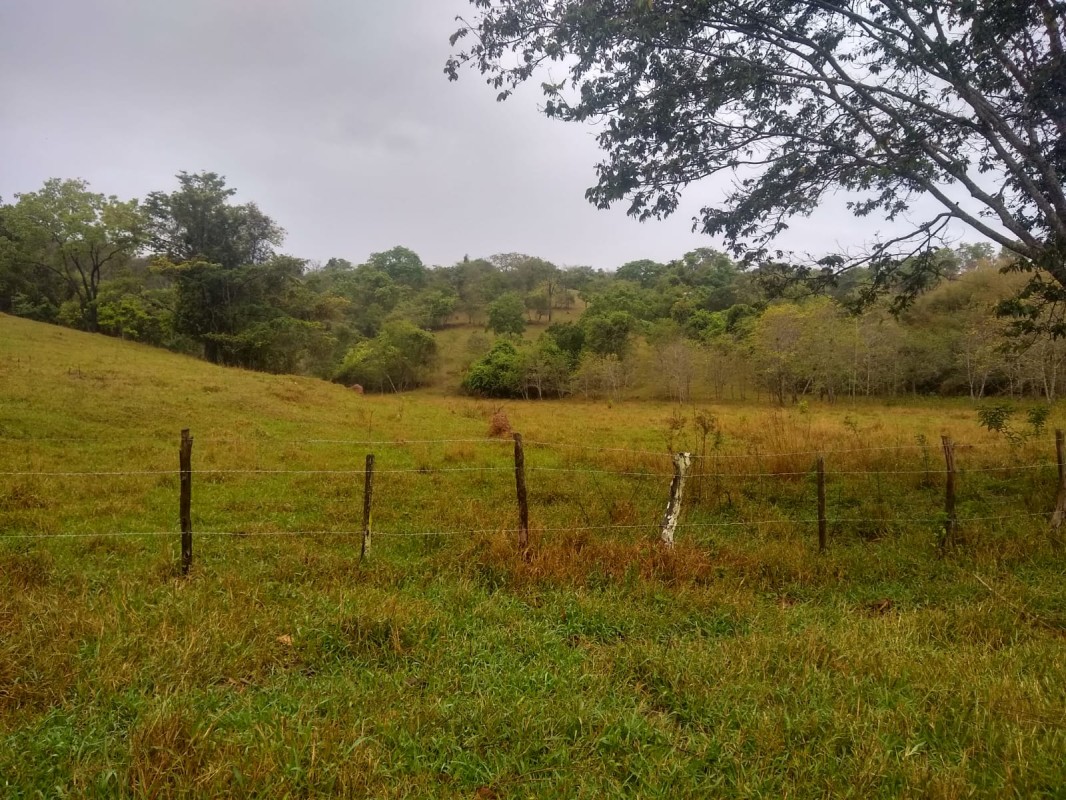 Fazenda, 390 hectares - Foto 14