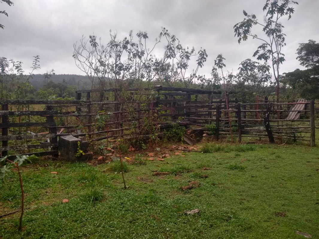 Fazenda, 390 hectares - Foto 9