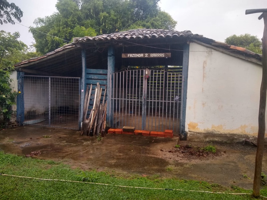 Fazenda, 390 hectares - Foto 24