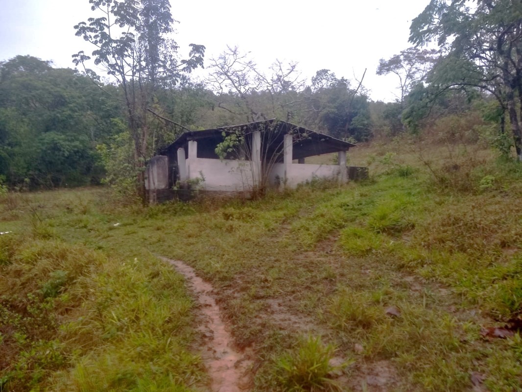 Fazenda, 390 hectares - Foto 12