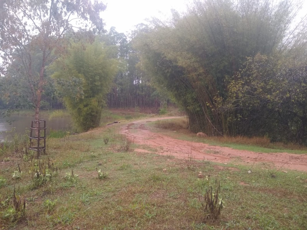 Fazenda, 390 hectares - Foto 21