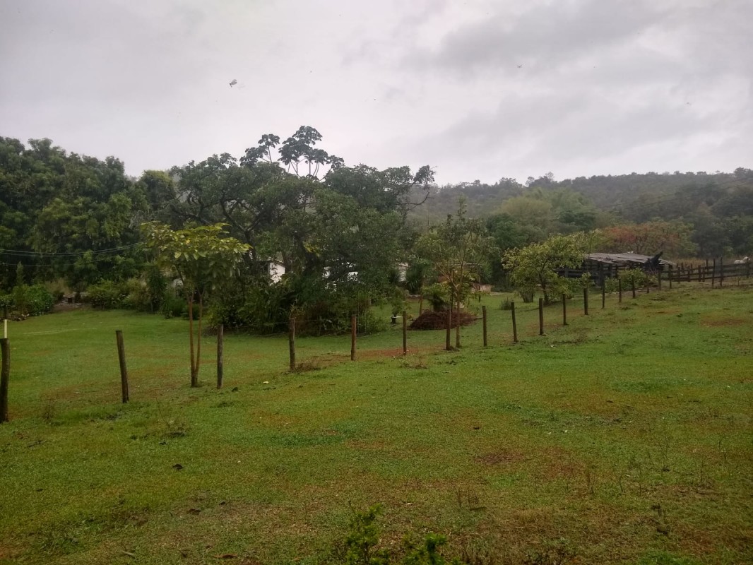 Fazenda, 390 hectares - Foto 3