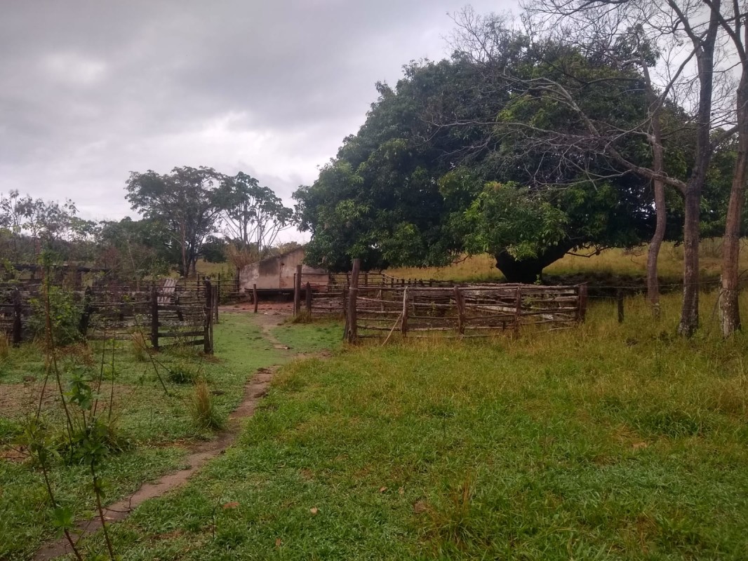 Fazenda, 390 hectares - Foto 13