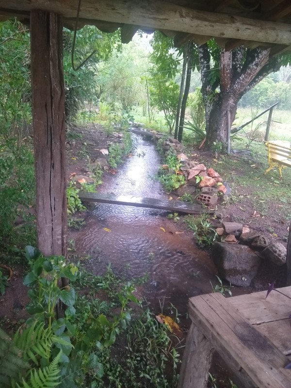 Fazenda, 390 hectares - Foto 16