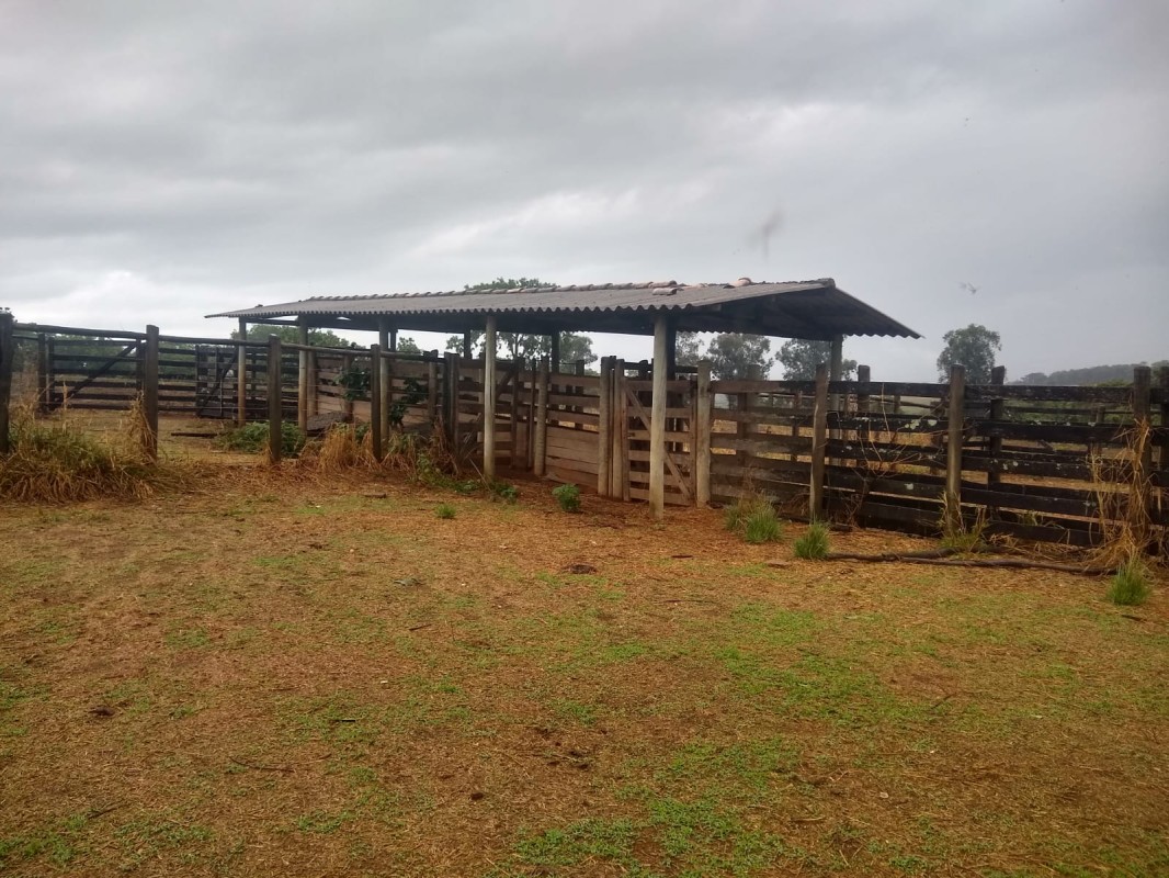 Fazenda, 390 hectares - Foto 10