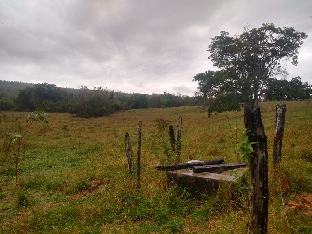 Fazenda, 390 hectares - Foto 8