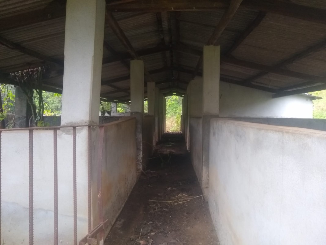 Fazenda, 390 hectares - Foto 23