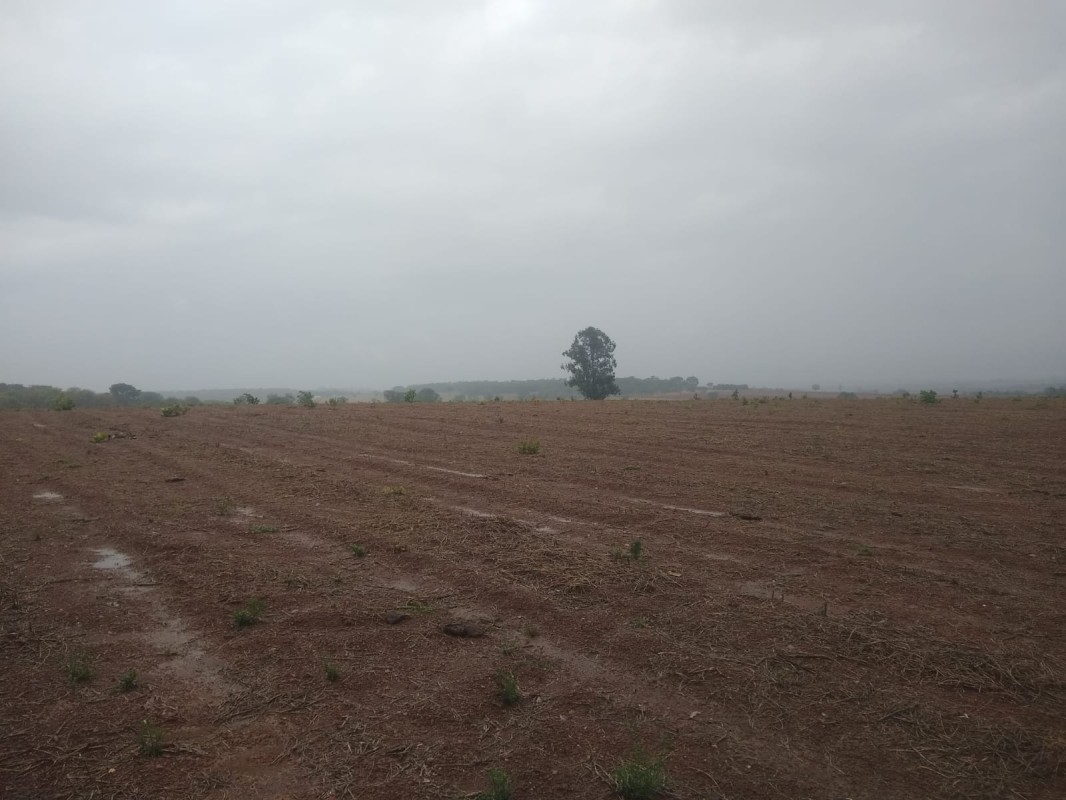 Fazenda, 390 hectares - Foto 22