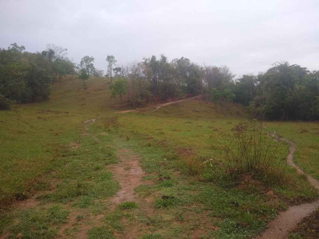 Fazenda, 390 hectares - Foto 7