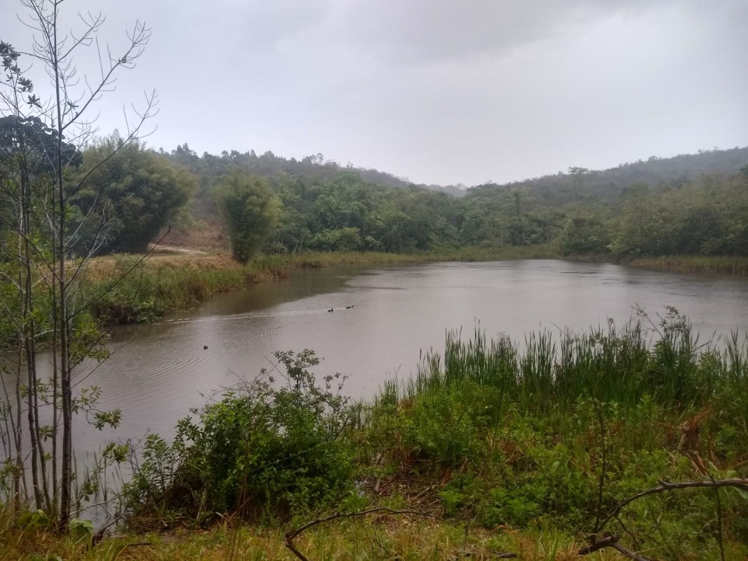 Fazenda, 390 hectares - Foto 4