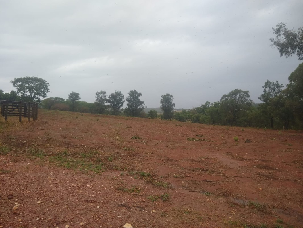 Fazenda, 390 hectares - Foto 18