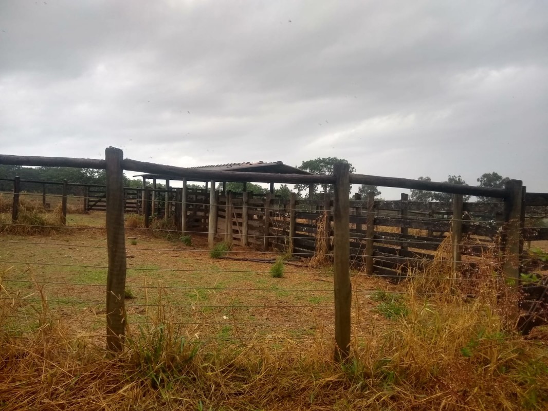 Fazenda, 390 hectares - Foto 11