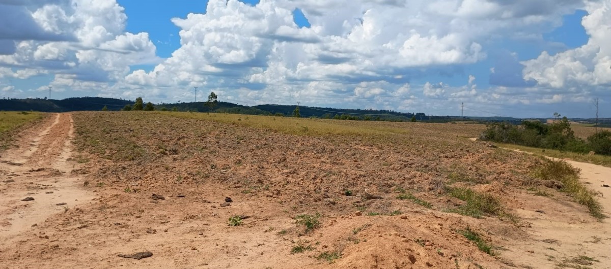 Fazenda, 1000 hectares - Foto 12