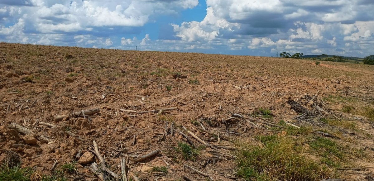 Fazenda, 1000 hectares - Foto 17