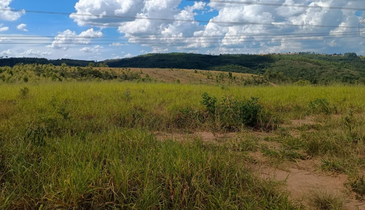 Fazenda, 1000 hectares - Foto 3