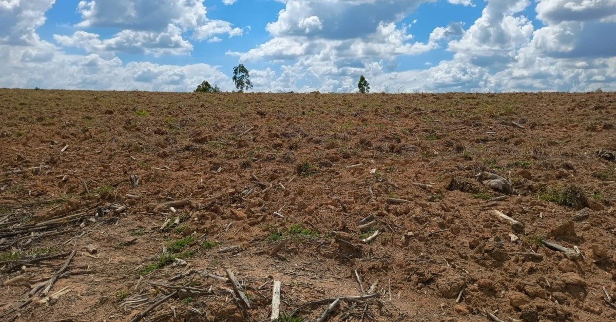 Fazenda, 1000 hectares - Foto 15