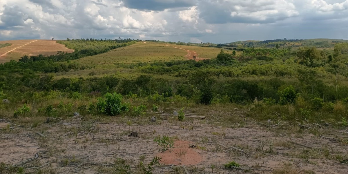 Fazenda, 1000 hectares - Foto 8