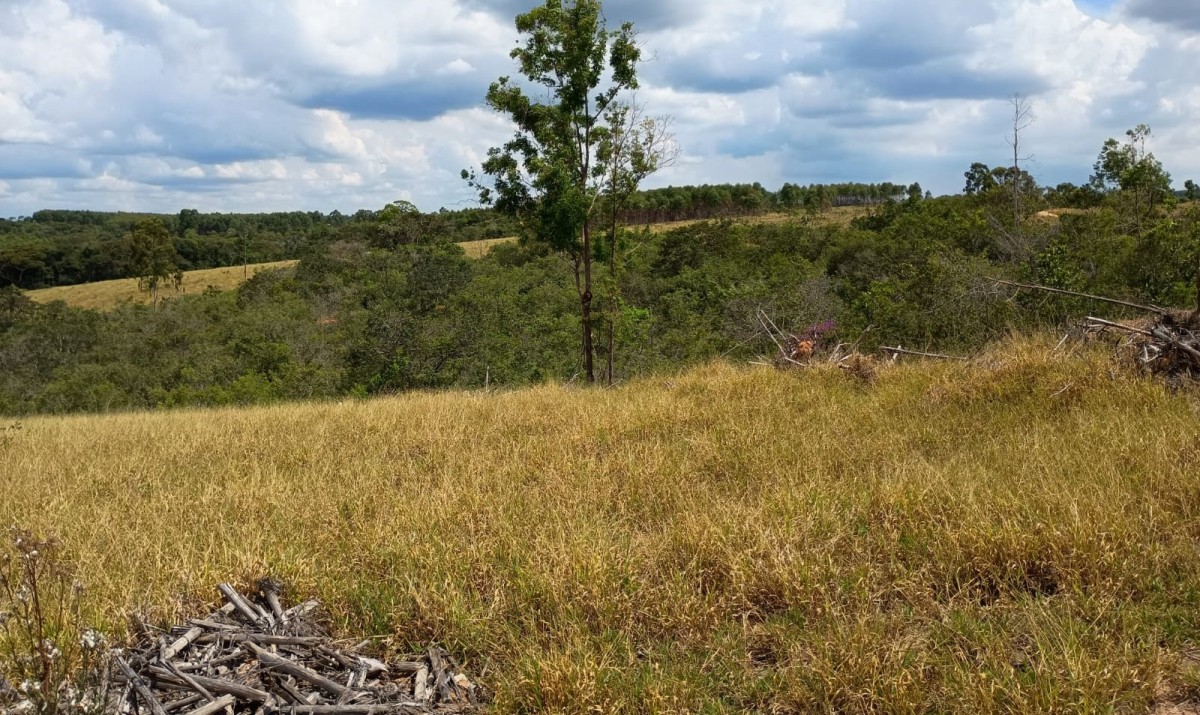 Fazenda, 1000 hectares - Foto 14