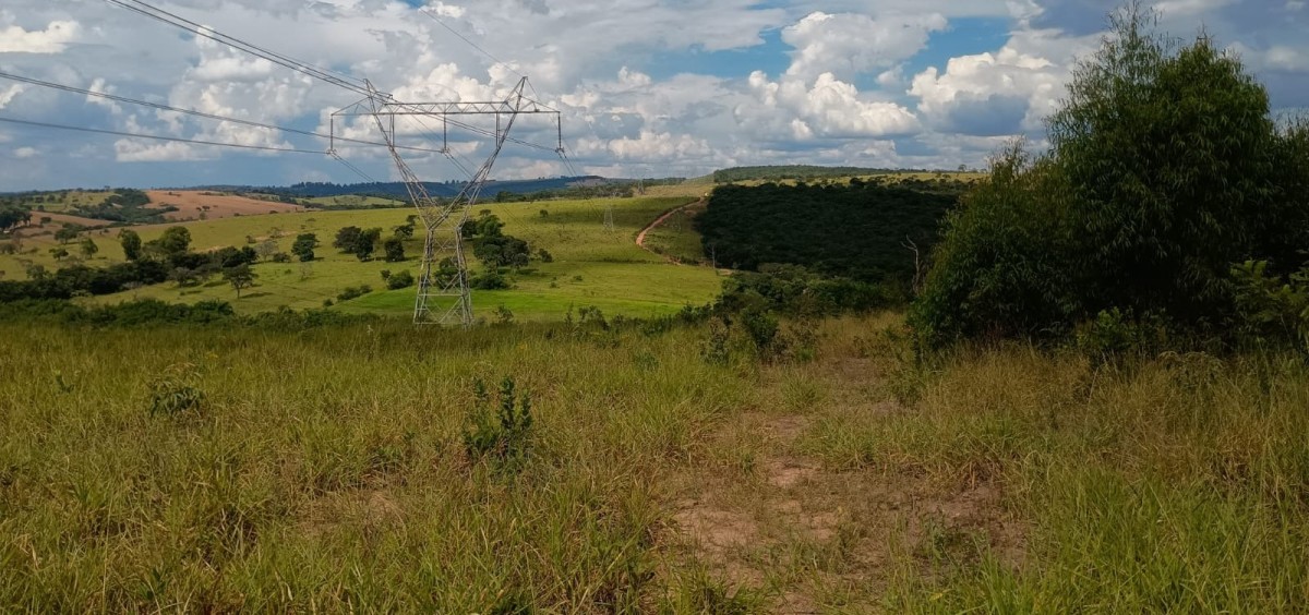 Fazenda, 1000 hectares - Foto 1