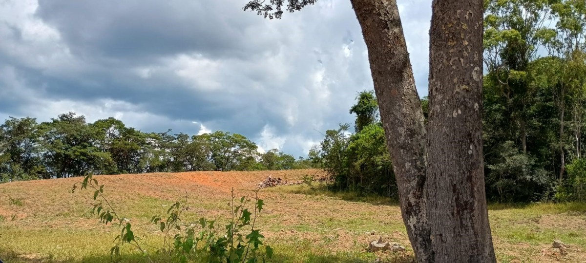Fazenda, 1000 hectares - Foto 18
