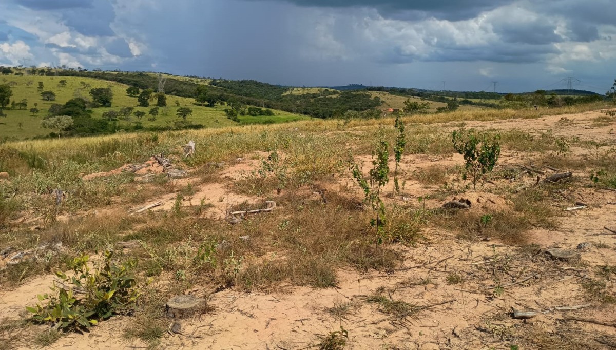 Fazenda, 1000 hectares - Foto 4