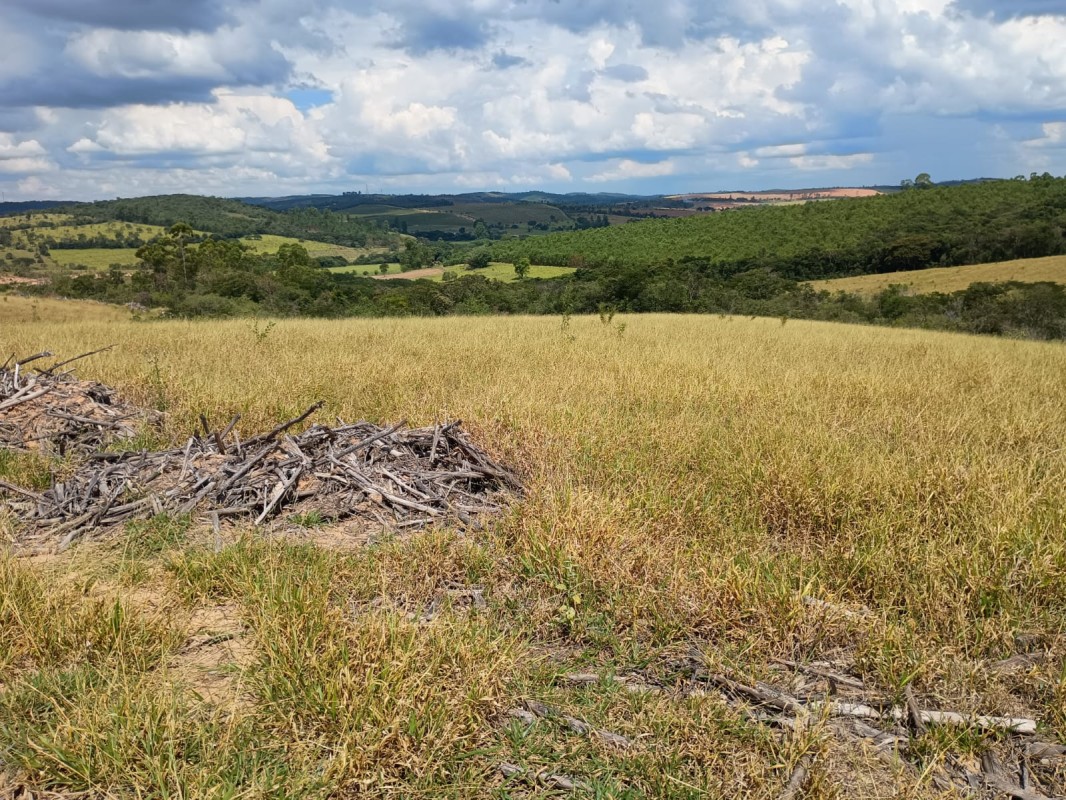 Fazenda, 1000 hectares - Foto 13