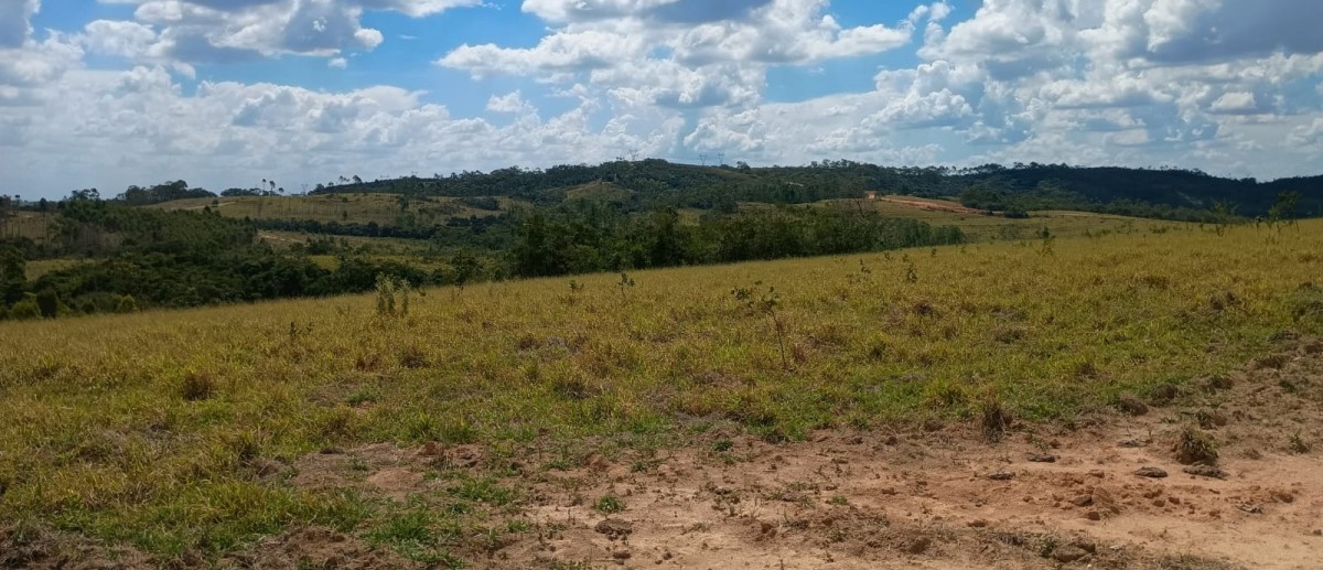 Fazenda, 1000 hectares - Foto 11