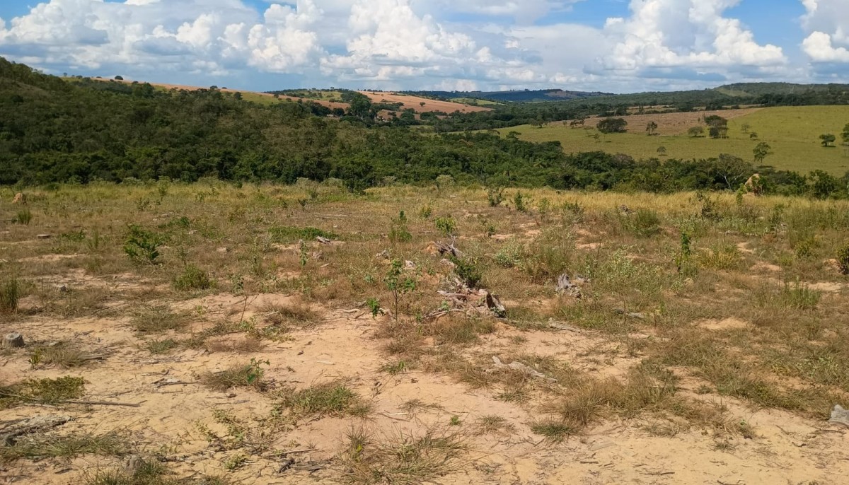 Fazenda, 1000 hectares - Foto 5