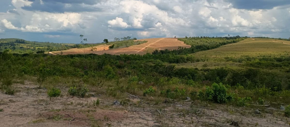 Fazenda, 1000 hectares - Foto 7