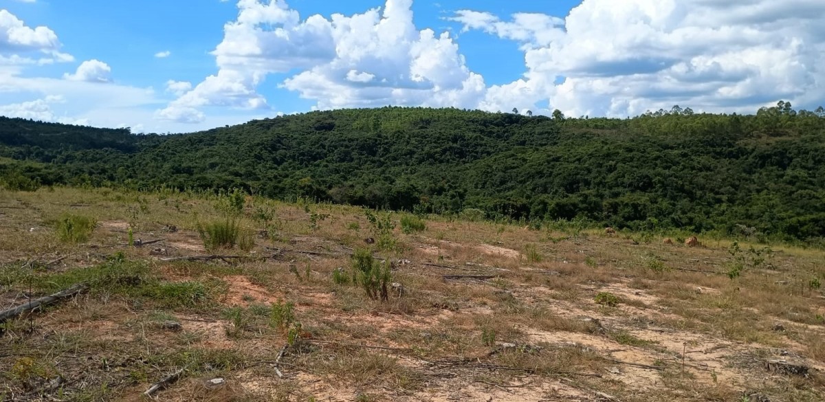 Fazenda, 1000 hectares - Foto 6