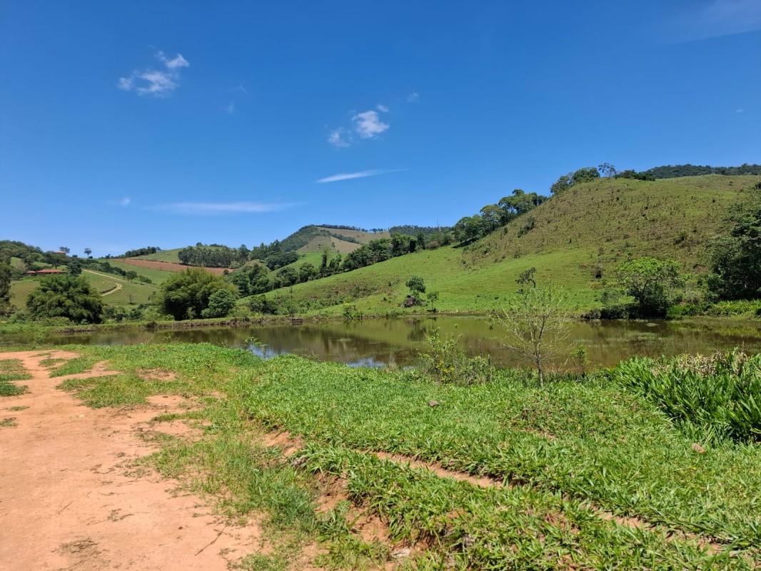 Fazenda, 131 hectares - Foto 22