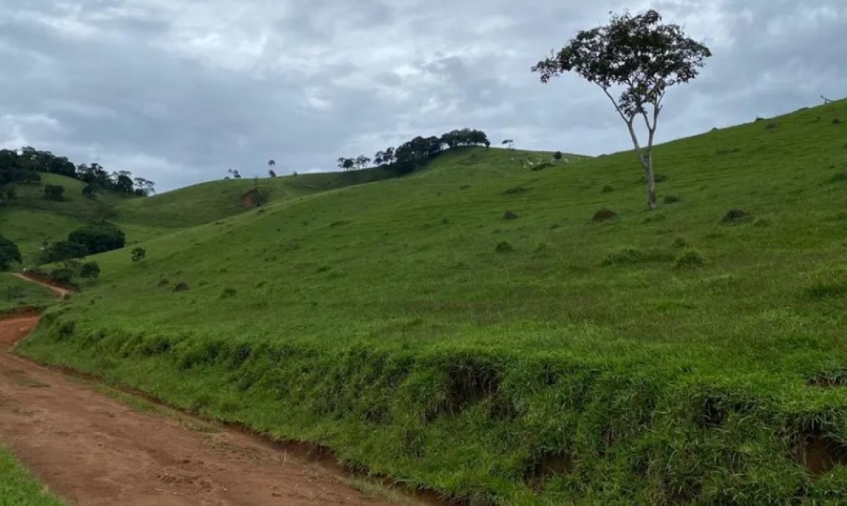 Fazenda, 131 hectares - Foto 2