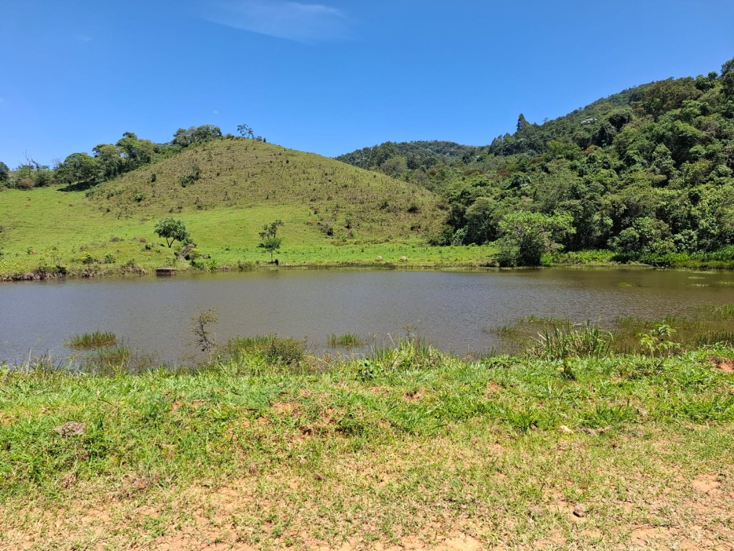 Fazenda, 131 hectares - Foto 15