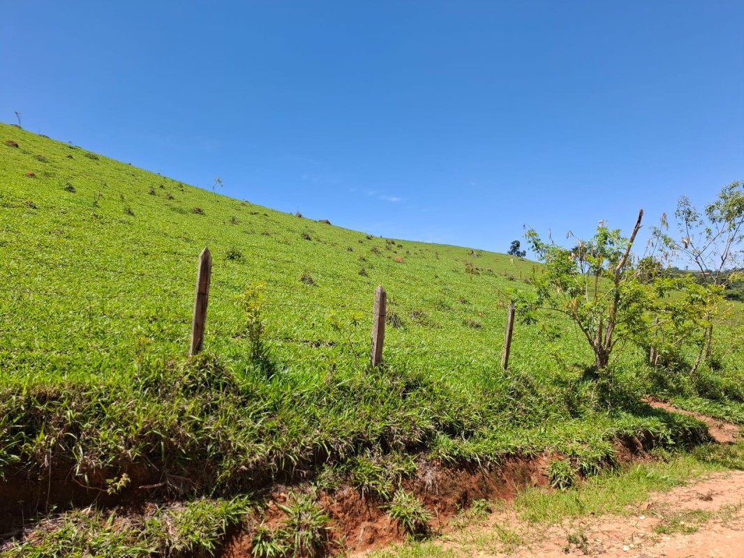Fazenda, 131 hectares - Foto 9