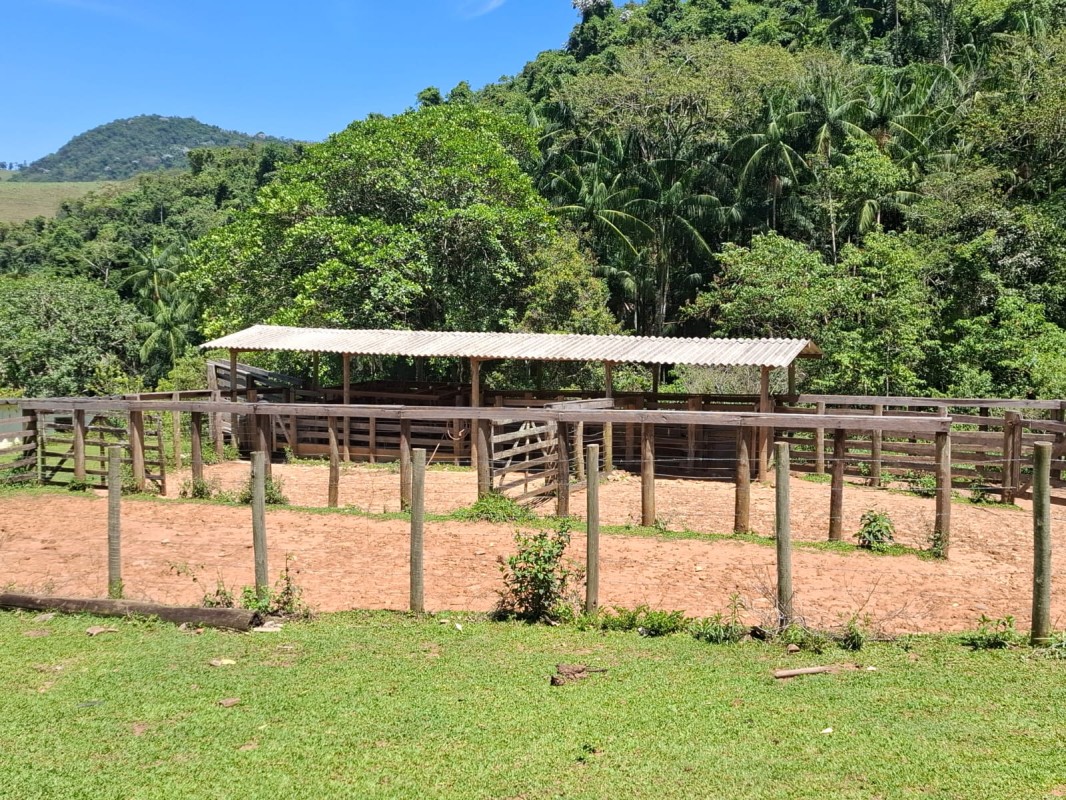 Fazenda, 131 hectares - Foto 21