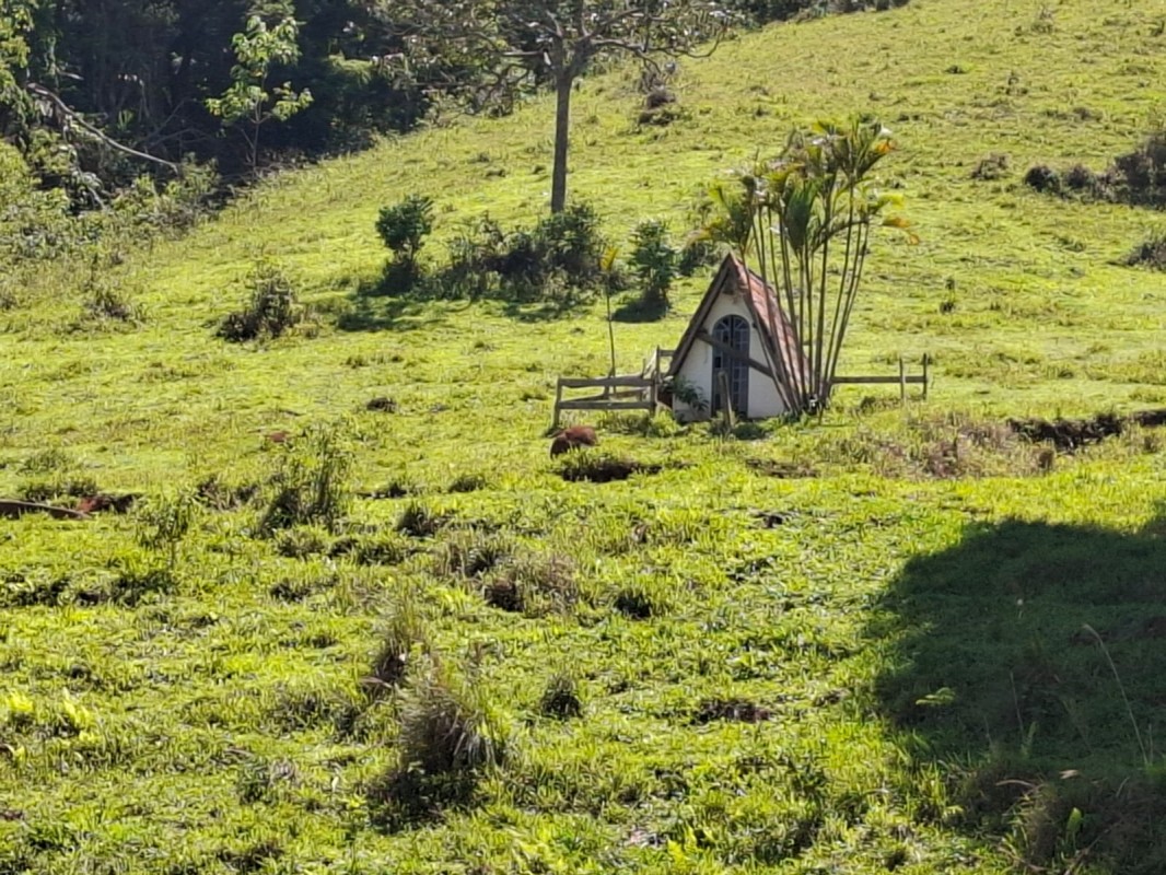 Fazenda, 131 hectares - Foto 12