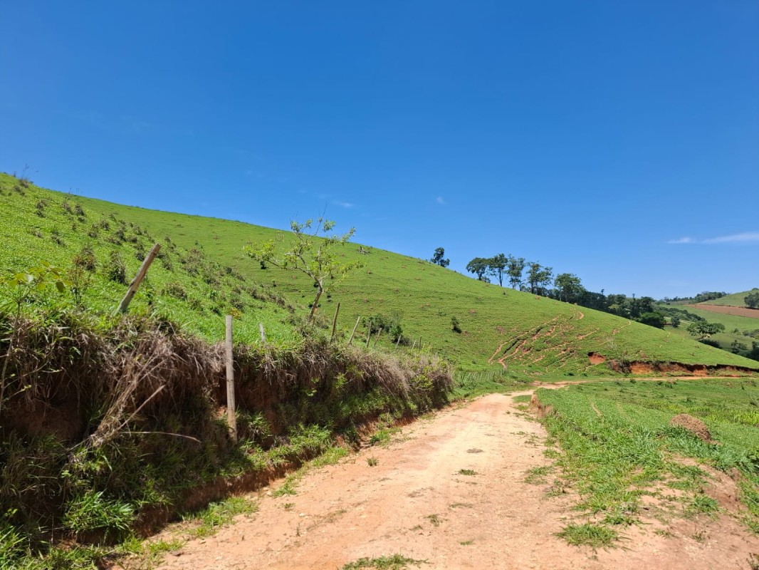 Fazenda, 131 hectares - Foto 3