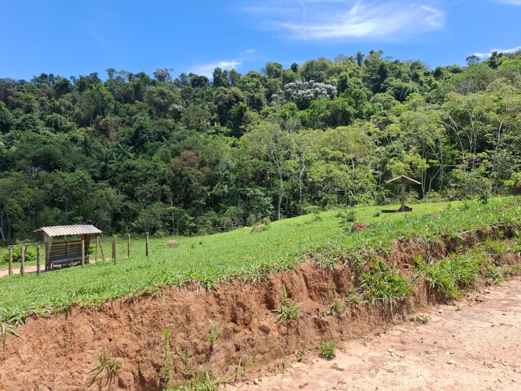 Fazenda, 131 hectares - Foto 7