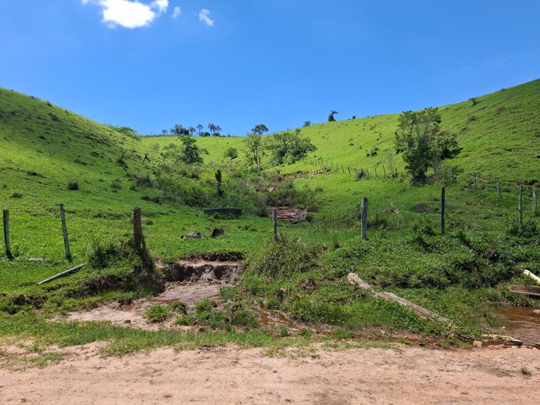 Fazenda, 131 hectares - Foto 10