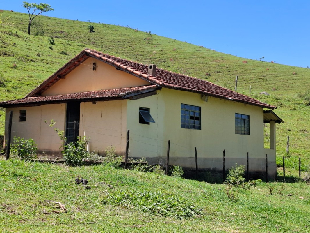 Fazenda, 131 hectares - Foto 23