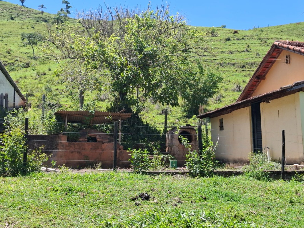 Fazenda, 131 hectares - Foto 24